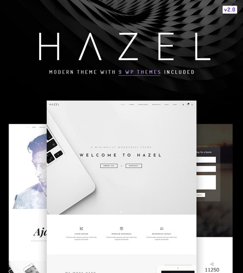 Hazel - - 响应式WordPress模板